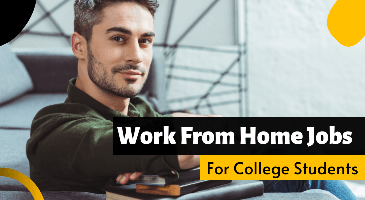 Best Work From Home Jobs For College Students On Offline,Mother In Laws Tongue Plant